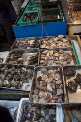 18-Tsukiji Fish Market